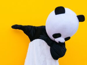 medvídek panda